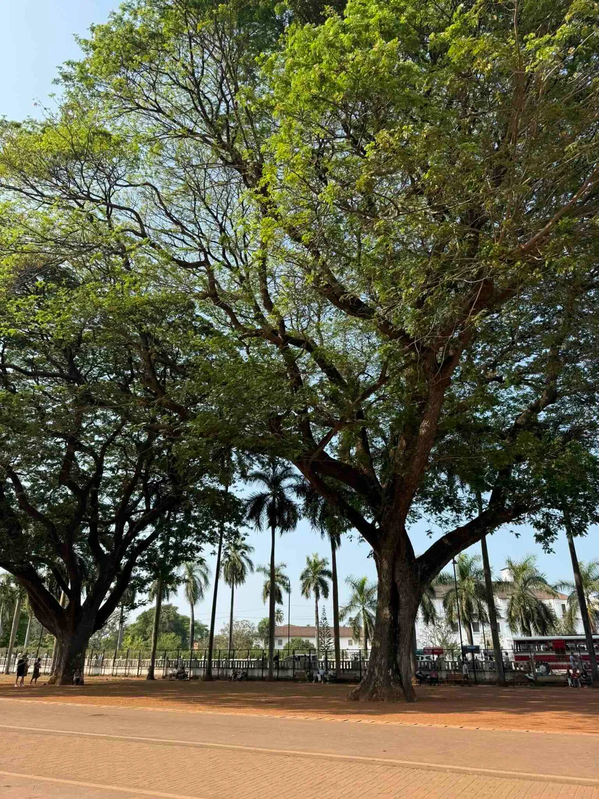 Be Mindful of What Goes in Your AGENTS.md